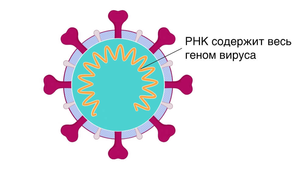 Кракен сайт бошки