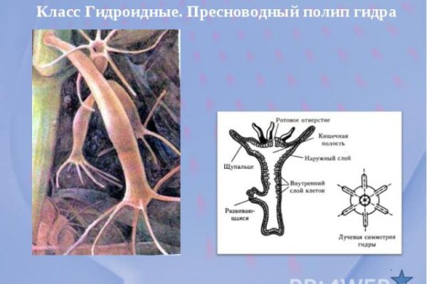 Как попасть на сайт кракен