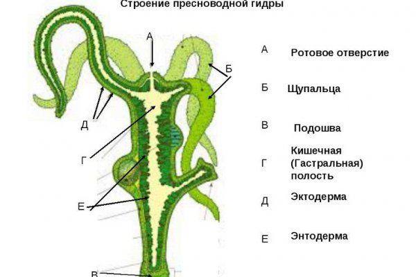 Кракен ссылка на сайт com