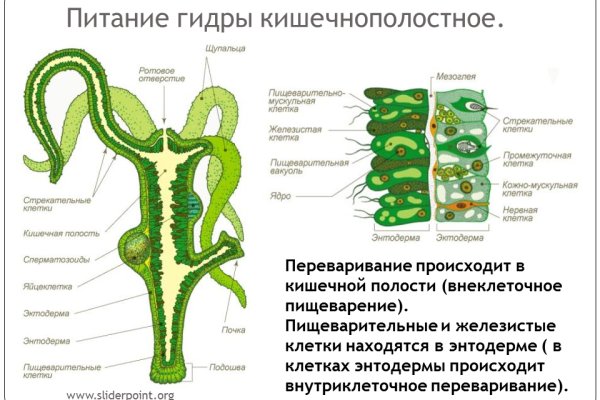 Сайт кракен не работает почему